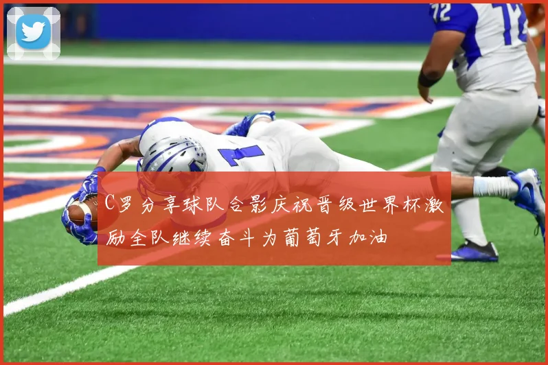 C罗分享球队合影庆祝晋级世界杯激励全队继续奋斗为葡萄牙加油