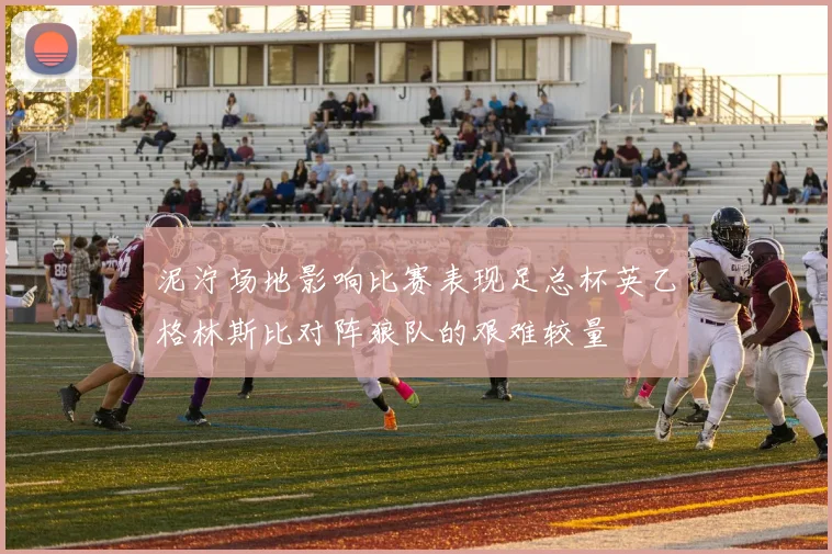 泥泞场地影响比赛表现足总杯英乙格林斯比对阵狼队的艰难较量